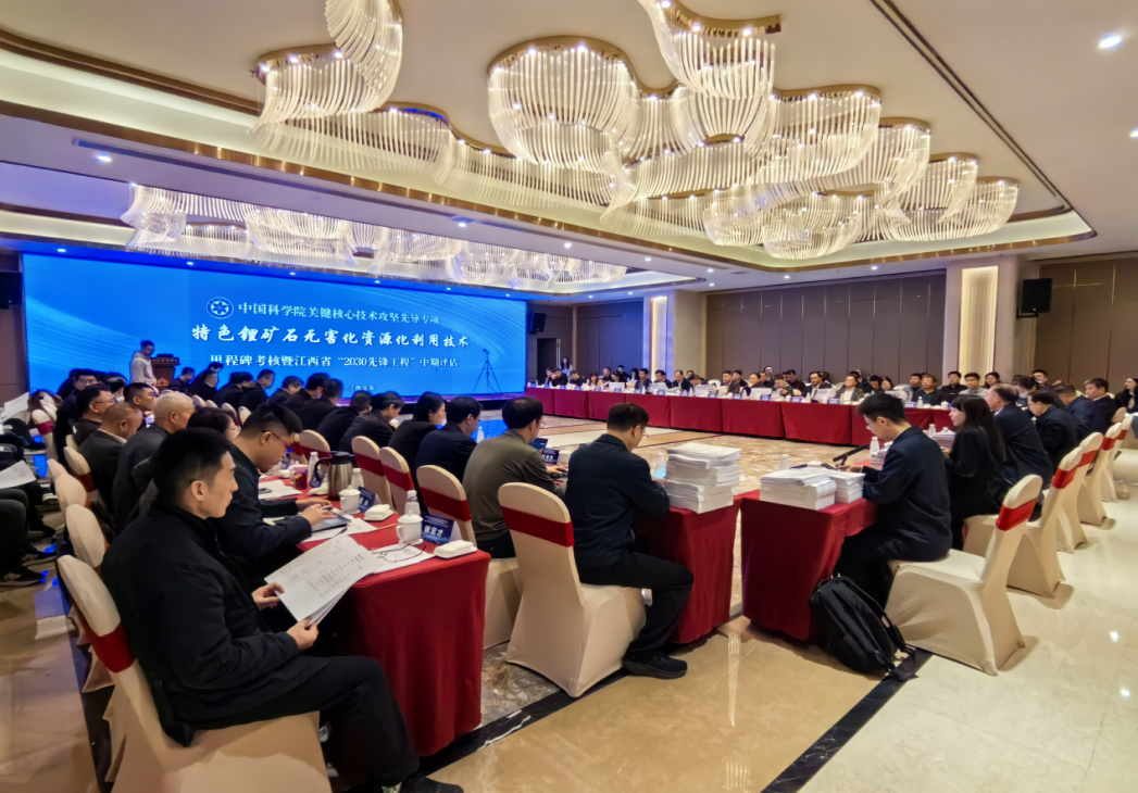 破解锂渣难题 中国科学院C类先导专项取得阶段性进展——“特色锂矿石无害化资源化利用技术”通过里程碑暨江西省“2030先锋工程”中期考核
