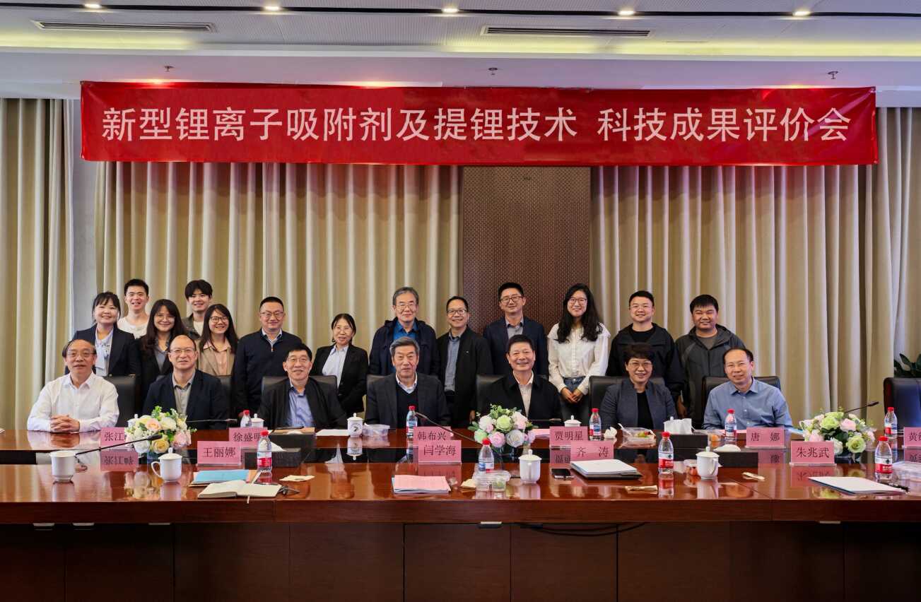 过程工程所“新型锂离子吸附剂及提锂技术”项目通过科学技术成果评价