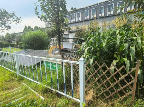 【中国科学报】科学家提出新策略实现高效太阳能海水淡化